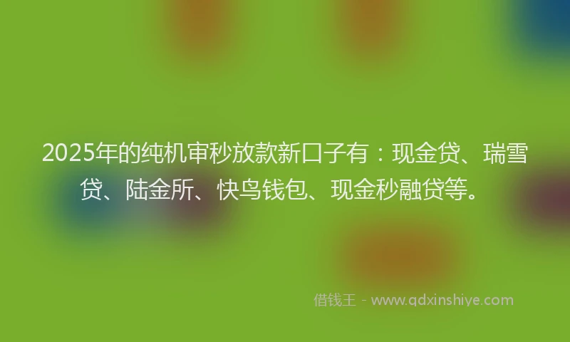 2025年的纯机审秒放款新口子有：现金贷、瑞雪贷、陆金所、快鸟钱包、现金秒融贷等。