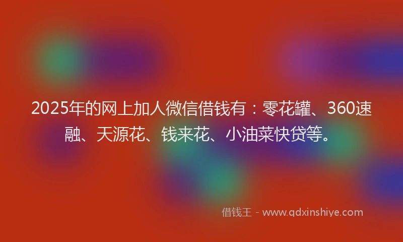 2025年的网上加人微信借钱有：零花罐、360速融、天源花、钱来花、小油菜快贷等。