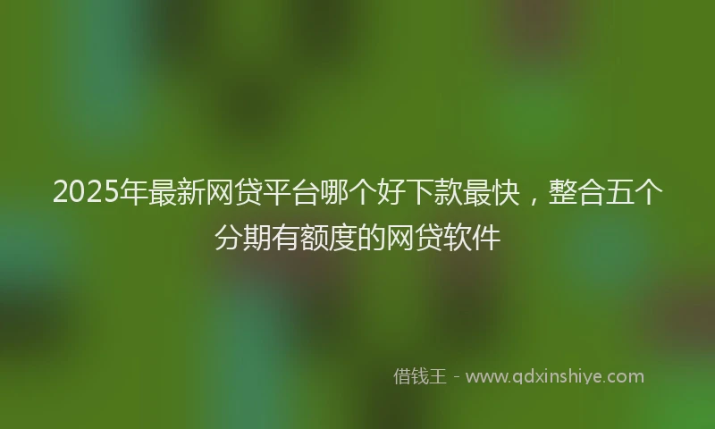 2025年最新网贷平台哪个好下款最快，整合五个分期有额度的网贷软件