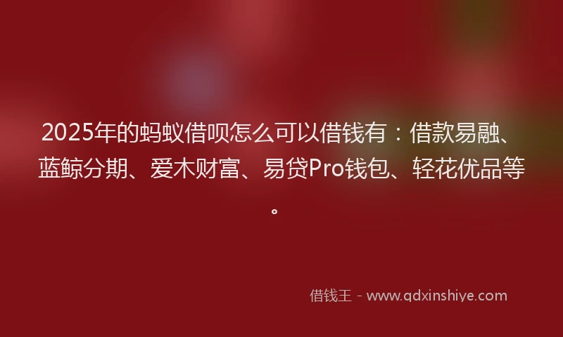 2025年的蚂蚁借呗怎么可以借钱有：借款易融、蓝鲸分期、爱木财富、易贷Pro钱包、轻花优品等。