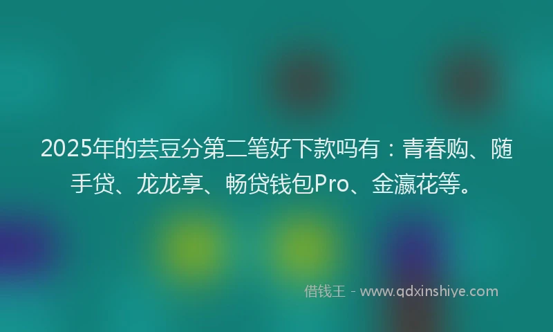 2025年的芸豆分第二笔好下款吗有：青春购、随手贷、龙龙享、畅贷钱包Pro、金瀛花等。