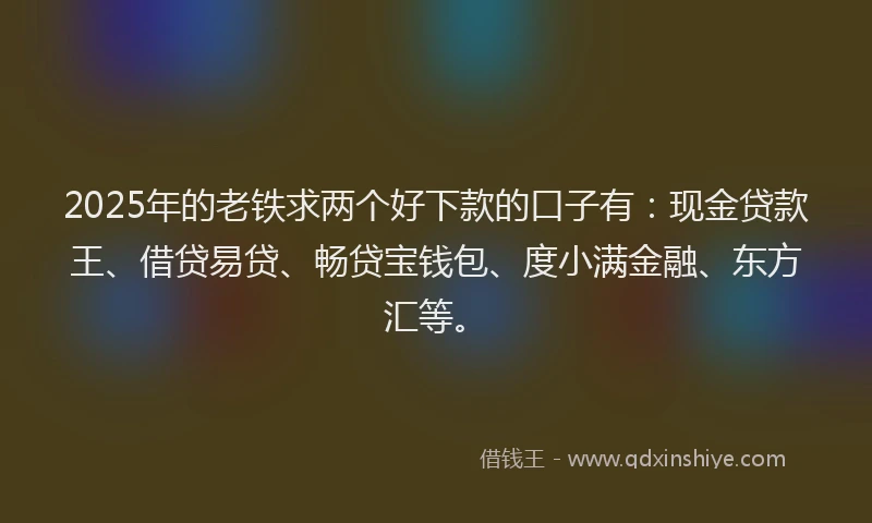 2025年的老铁求两个好下款的口子有：现金贷款王、借贷易贷、畅贷宝钱包、度小满金融、东方汇等。