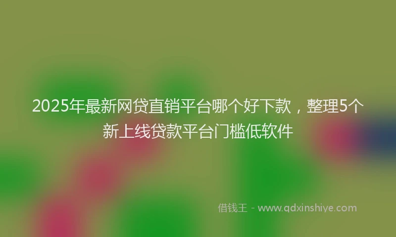 2025年最新网贷直销平台哪个好下款，整理5个新上线贷款平台门槛低软件
