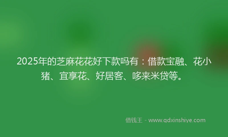 2025年的芝麻花花好下款吗有：借款宝融、花小猪、宜享花、好居客、哆来米贷等。