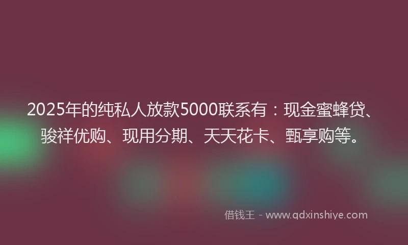 2025年的纯私人放款5000联系有：现金蜜蜂贷、骏祥优购、现用分期、天天花卡、甄享购等。