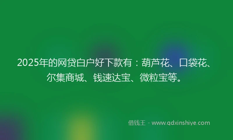 2025年的网贷白户好下款有：葫芦花、口袋花、尔集商城、钱速达宝、微粒宝等。