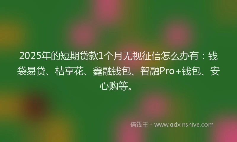 2025年的短期贷款1个月无视征信怎么办有：钱袋易贷、桔享花、鑫融钱包、智融Pro+钱包、安心购等。