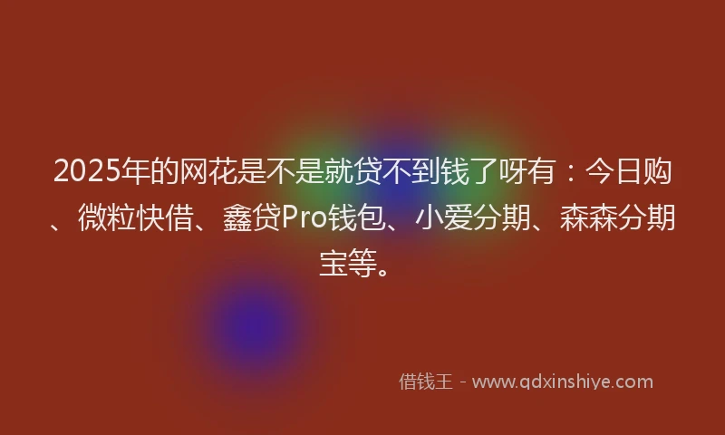 2025年的网花是不是就贷不到钱了呀有：今日购、微粒快借、鑫贷Pro钱包、小爱分期、森森分期宝等。