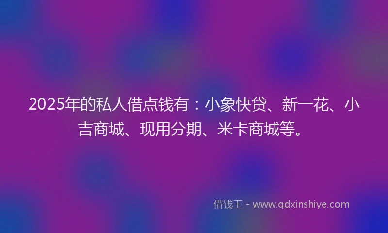 2025年的私人借点钱有：小象快贷、新一花、小吉商城、现用分期、米卡商城等。
