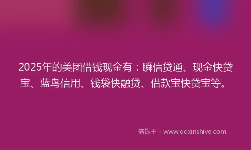 2025年的美团借钱现金有：瞬信贷通、现金快贷宝、蓝鸟信用、钱袋快融贷、借款宝快贷宝等。