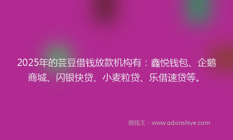 2025年的芸豆借钱放款机构有：鑫悦钱包、企鹅商城、闪银快贷、小麦粒贷、乐借速贷等。