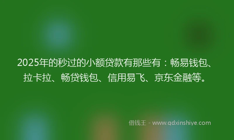 2025年的秒过的小额贷款有那些有：畅易钱包、拉卡拉、畅贷钱包、信用易飞、京东金融等。