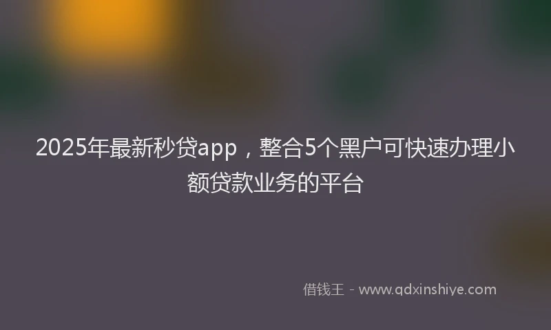 2025年最新秒贷app，整合5个黑户可快速办理小额贷款业务的平台