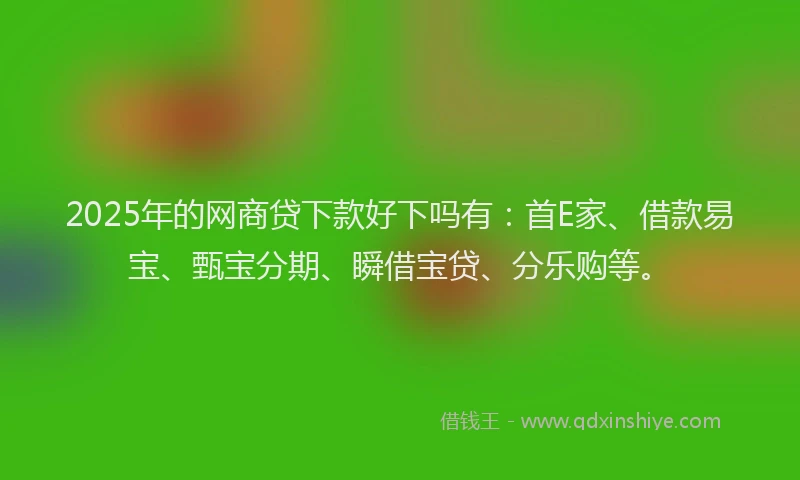 2025年的网商贷下款好下吗有：首E家、借款易宝、甄宝分期、瞬借宝贷、分乐购等。