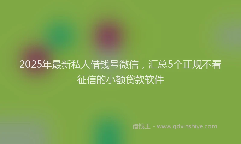 2025年最新私人借钱号微信，汇总5个正规不看征信的小额贷款软件