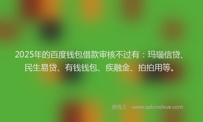 2025年的百度钱包借款审核不过有：玛瑙信贷、民生易贷、有钱钱包、疾融金、拍拍用等。