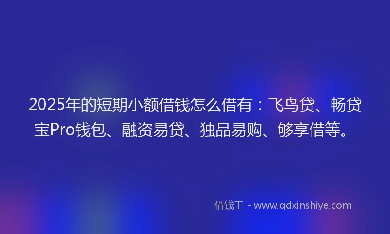 2025年的短期小额借钱怎么借有：飞鸟贷、畅贷宝Pro钱包、融资易贷、独品易购、够享借等。