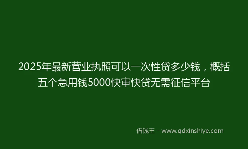 2025年最新营业执照可以一次性贷多少钱，概括五个急用钱5000快审快贷无需征信平台