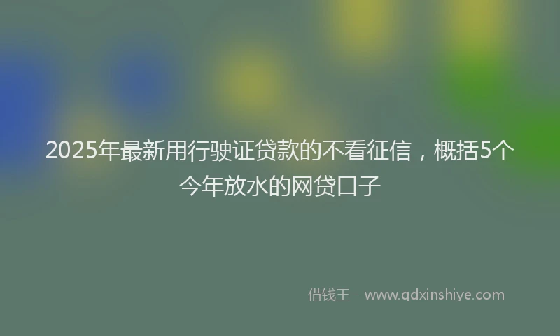 2025年最新用行驶证贷款的不看征信，概括5个今年放水的网贷口子
