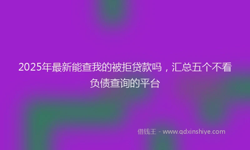 2025年最新能查我的被拒贷款吗，汇总五个不看负债查询的平台
