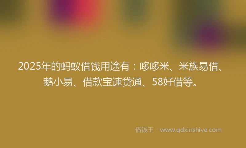 2025年的蚂蚁借钱用途有：哆哆米、米族易借、鹅小易、借款宝速贷通、58好借等。