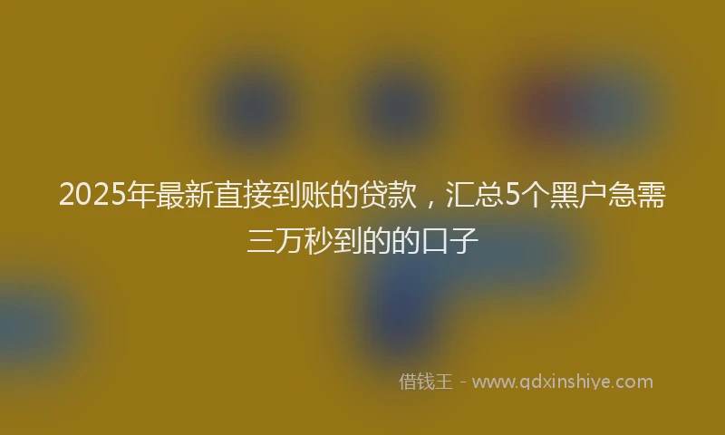 2025年最新直接到账的贷款，汇总5个黑户急需三万秒到的的口子