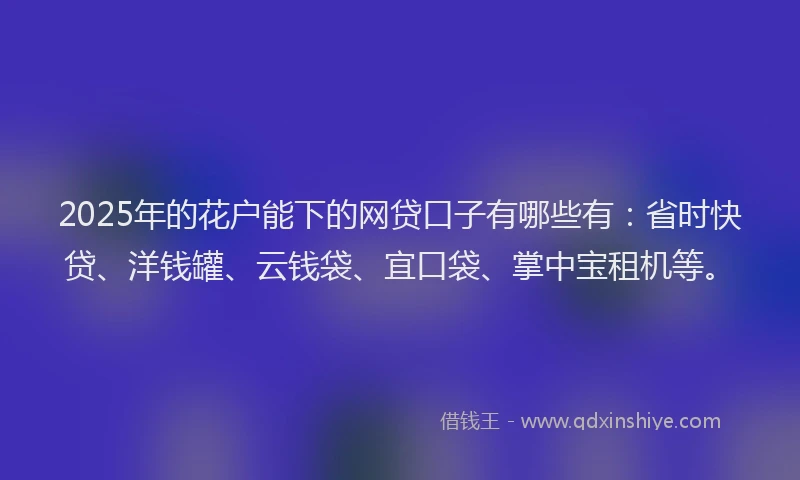2025年的花户能下的网贷口子有哪些有：省时快贷、洋钱罐、云钱袋、宜口袋、掌中宝租机等。