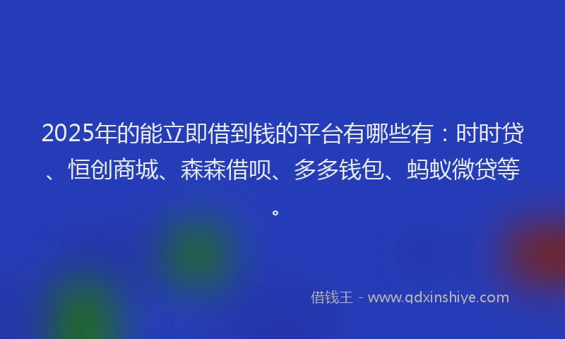 2025年的能立即借到钱的平台有哪些有：时时贷、恒创商城、森森借呗、多多钱包、蚂蚁微贷等。