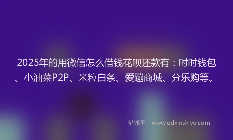 2025年的用微信怎么借钱花呗还款有：时时钱包、小油菜P2P、米粒白条、爱蹦商城、分乐购等。
