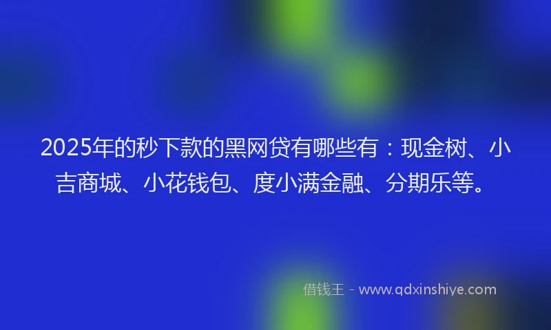 2025年的秒下款的黑网贷有哪些有：现金树、小吉商城、小花钱包、度小满金融、分期乐等。