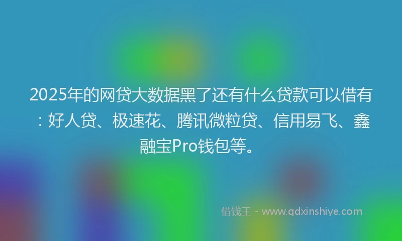 2025年的网贷大数据黑了还有什么贷款可以借有：好人贷、极速花、腾讯微粒贷、信用易飞、鑫融宝Pro钱包等。