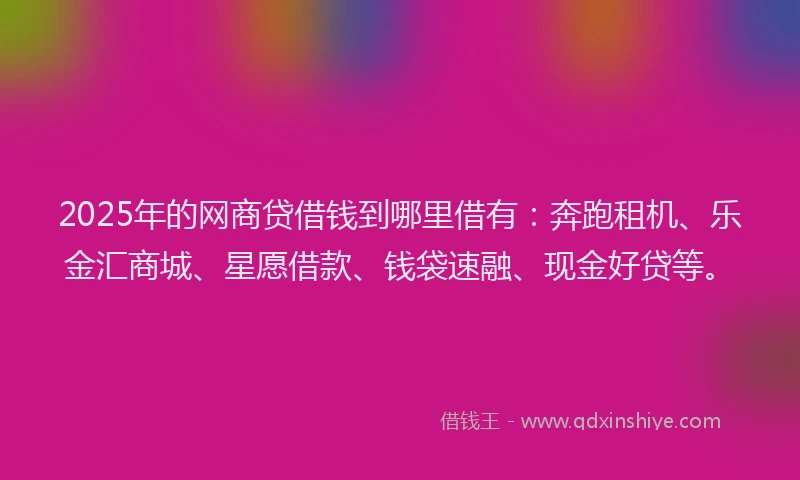2025年的网商贷借钱到哪里借有：奔跑租机、乐金汇商城、星愿借款、钱袋速融、现金好贷等。