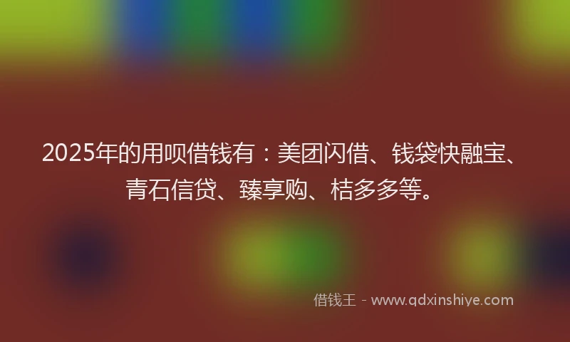 2025年的用呗借钱有：美团闪借、钱袋快融宝、青石信贷、臻享购、桔多多等。