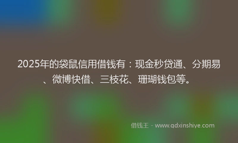 2025年的袋鼠信用借钱有：现金秒贷通、分期易、微博快借、三枝花、珊瑚钱包等。