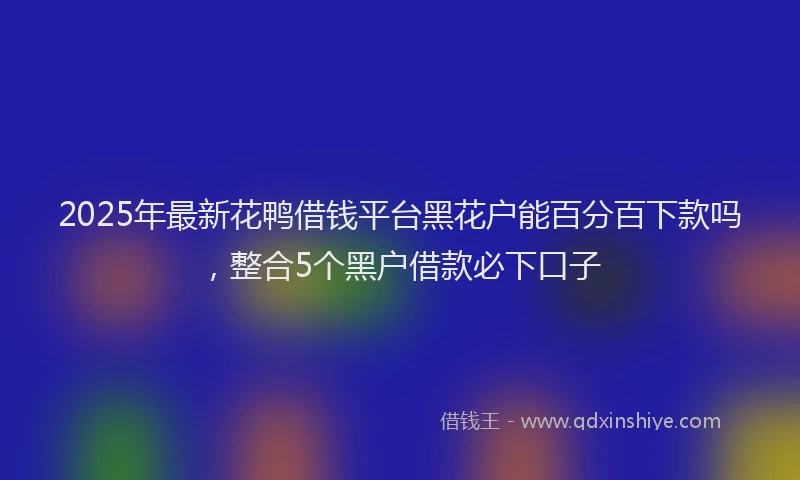 2025年最新花鸭借钱平台黑花户能百分百下款吗，整合5个黑户借款必下口子
