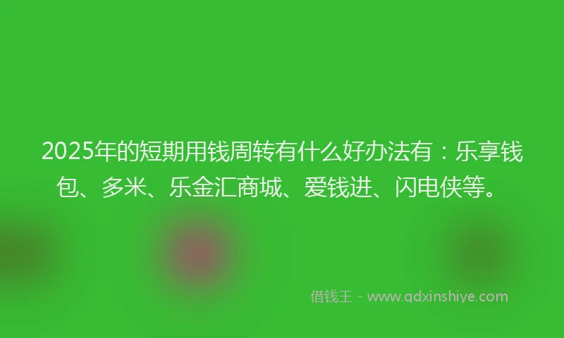 2025年的短期用钱周转有什么好办法有：乐享钱包、多米、乐金汇商城、爱钱进、闪电侠等。