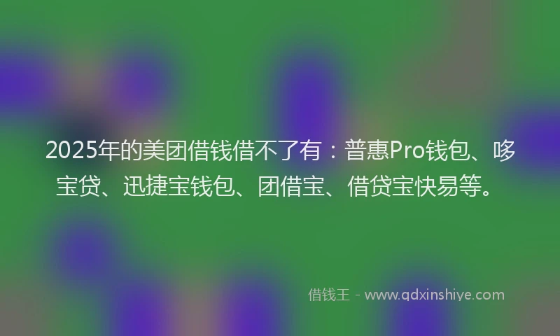 2025年的美团借钱借不了有：普惠Pro钱包、哆宝贷、迅捷宝钱包、团借宝、借贷宝快易等。