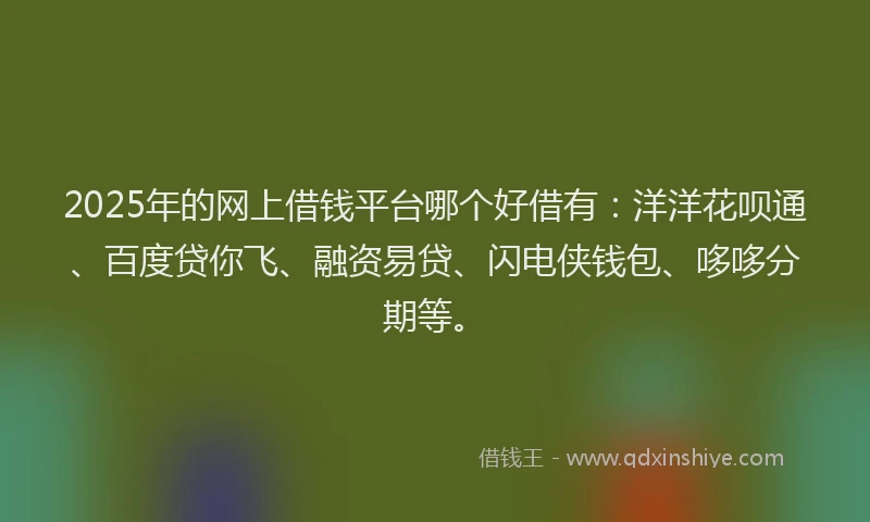2025年的网上借钱平台哪个好借有：洋洋花呗通、百度贷你飞、融资易贷、闪电侠钱包、哆哆分期等。