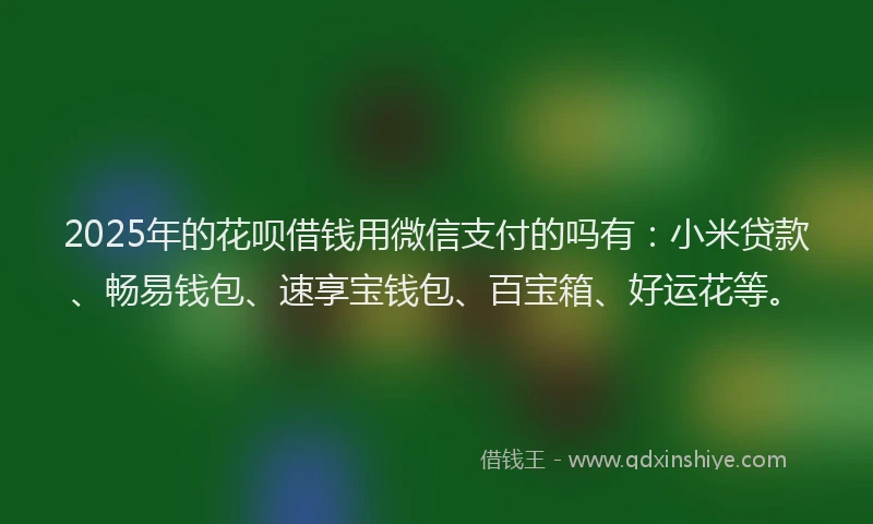 2025年的花呗借钱用微信支付的吗有：小米贷款、畅易钱包、速享宝钱包、百宝箱、好运花等。