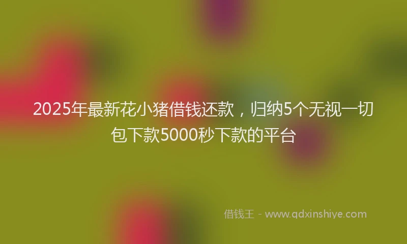 2025年最新花小猪借钱还款，归纳5个无视一切包下款5000秒下款的平台