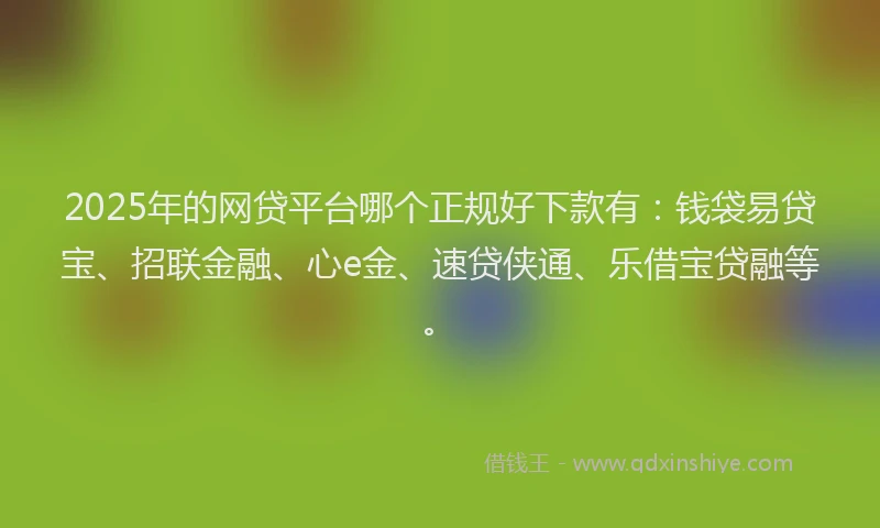 2025年的网贷平台哪个正规好下款有：钱袋易贷宝、招联金融、心e金、速贷侠通、乐借宝贷融等。