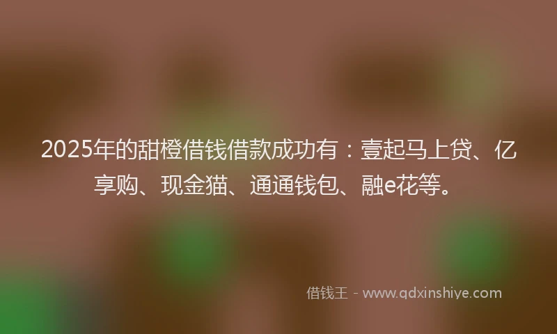 2025年的甜橙借钱借款成功有：壹起马上贷、亿享购、现金猫、通通钱包、融e花等。