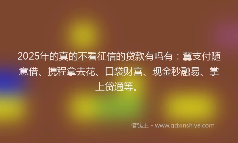 2025年的真的不看征信的贷款有吗有：翼支付随意借、携程拿去花、口袋财富、现金秒融易、掌上贷通等。