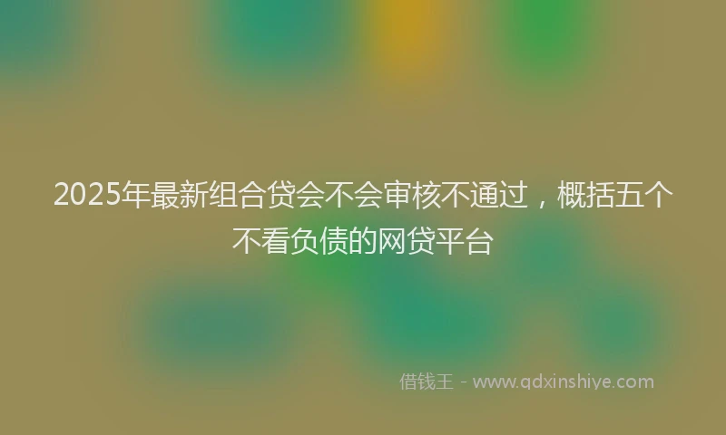 2025年最新组合贷会不会审核不通过，概括五个不看负债的网贷平台