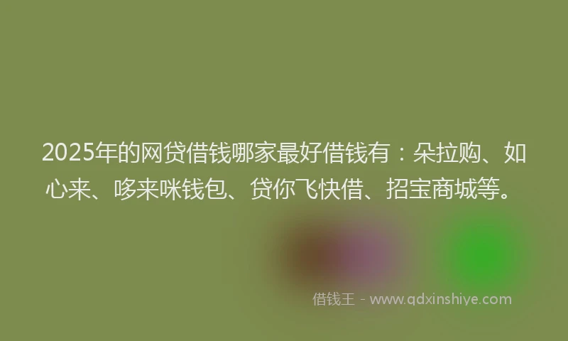 2025年的网贷借钱哪家最好借钱有：朵拉购、如心来、哆来咪钱包、贷你飞快借、招宝商城等。