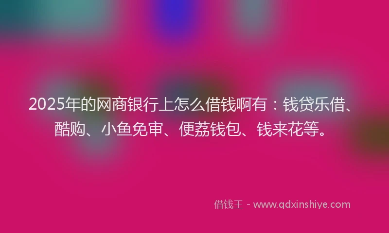 2025年的网商银行上怎么借钱啊有：钱贷乐借、酷购、小鱼免审、便荔钱包、钱来花等。