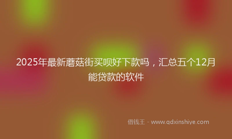 2025年最新蘑菇街买呗好下款吗，汇总五个12月能贷款的软件