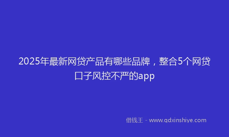 2025年最新网贷产品有哪些品牌，整合5个网贷口子风控不严的app