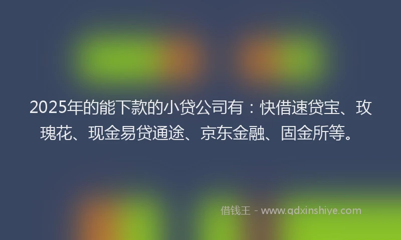 2025年的能下款的小贷公司有：快借速贷宝、玫瑰花、现金易贷通途、京东金融、固金所等。