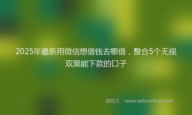2025年最新用微信想借钱去哪借，整合5个无视双黑能下款的口子